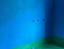 北林卫生间测漏水多少钱